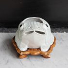 Chinese Frog Jardiniere