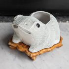 Chinese Frog Jardiniere
