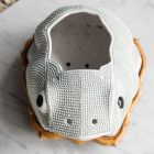 Chinese Frog Jardiniere